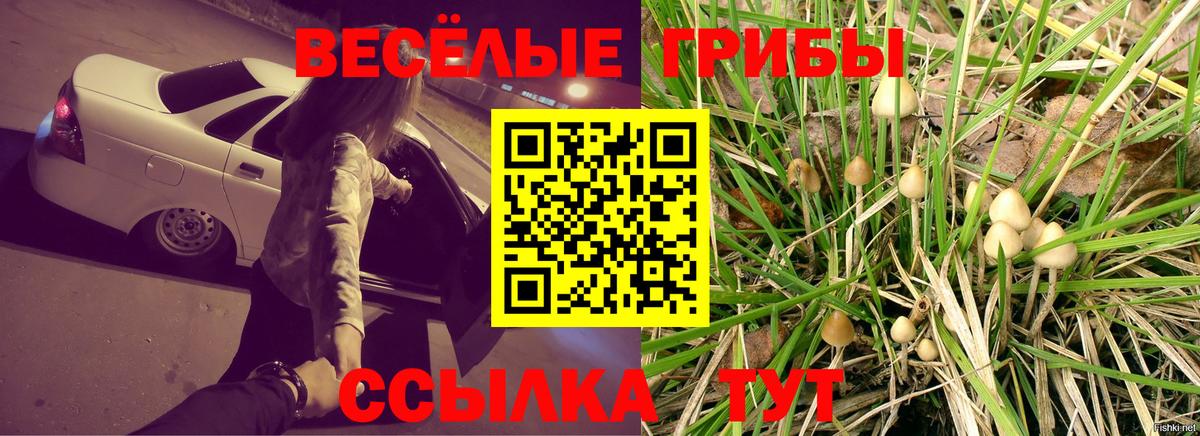 Галлюциногенные грибы MAGIC MUSHROOMS  Галлюциногенные грибы GOLDEN TEACHER  Вход с VPN  Еманжелинск 